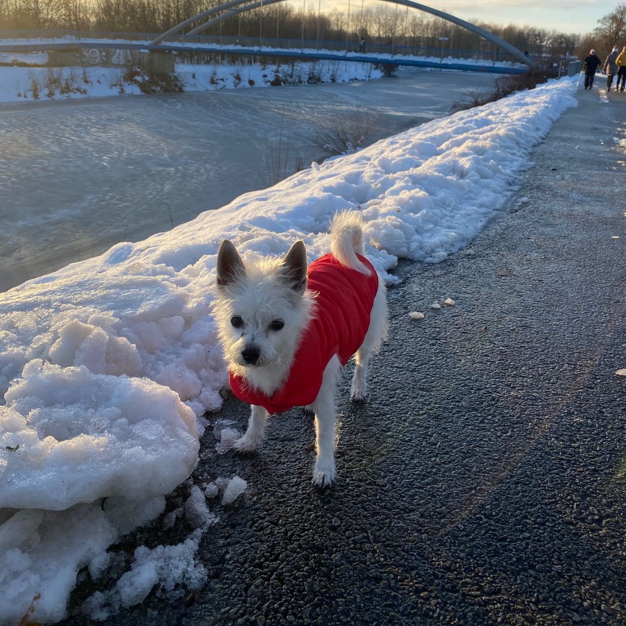 Soutěžní fotografie - Deny,  Ostatní