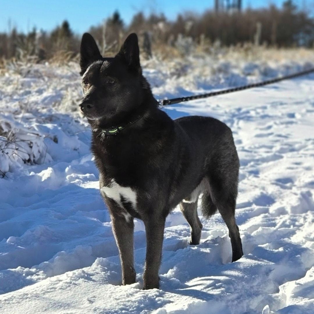 Soutěžní fotografie - Dag,  Ostatní