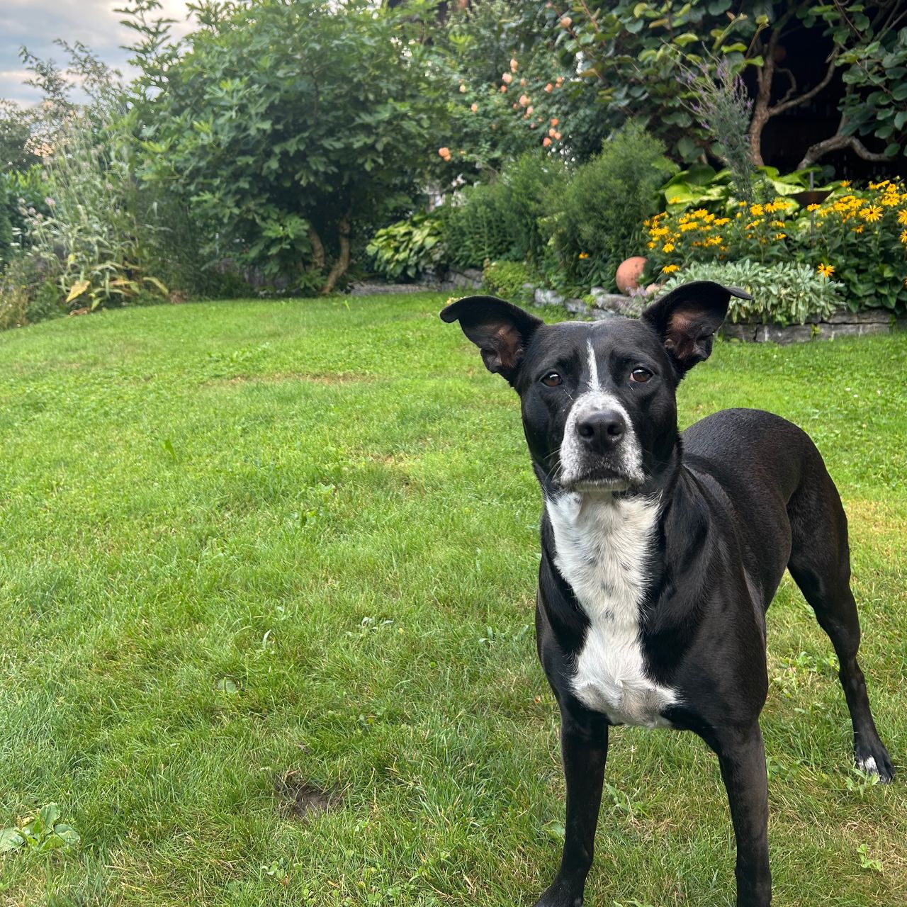 Soutěžní fotografie - Maya,  Ostatní