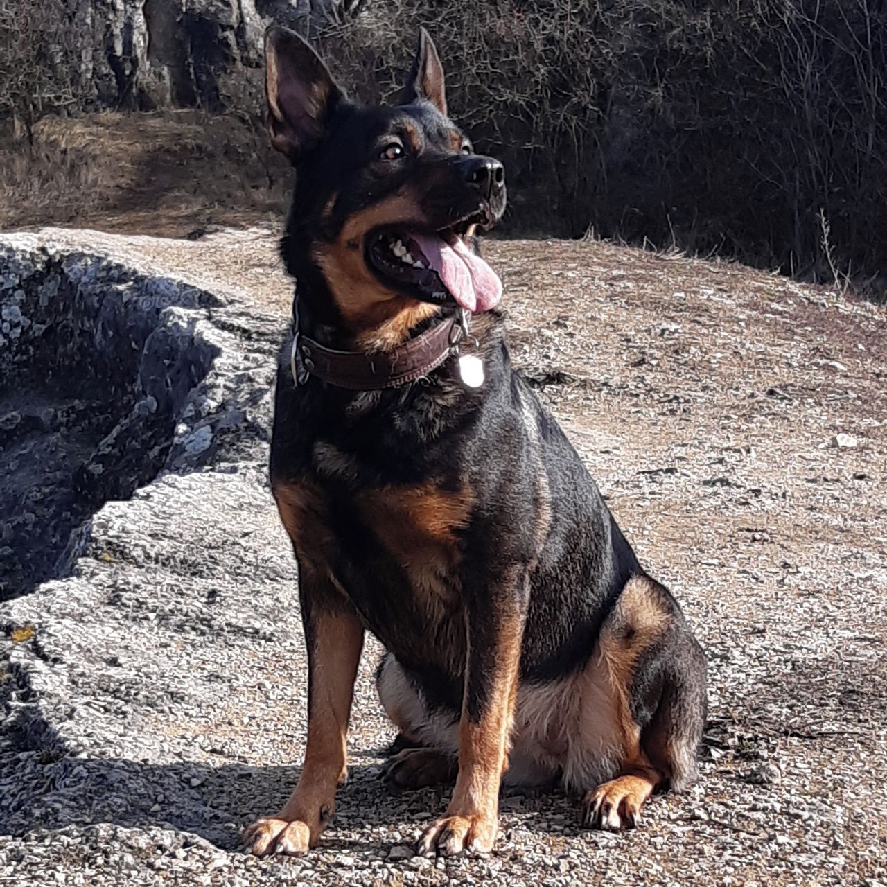 Soutěžní fotografie - Princezna,  Ostatní