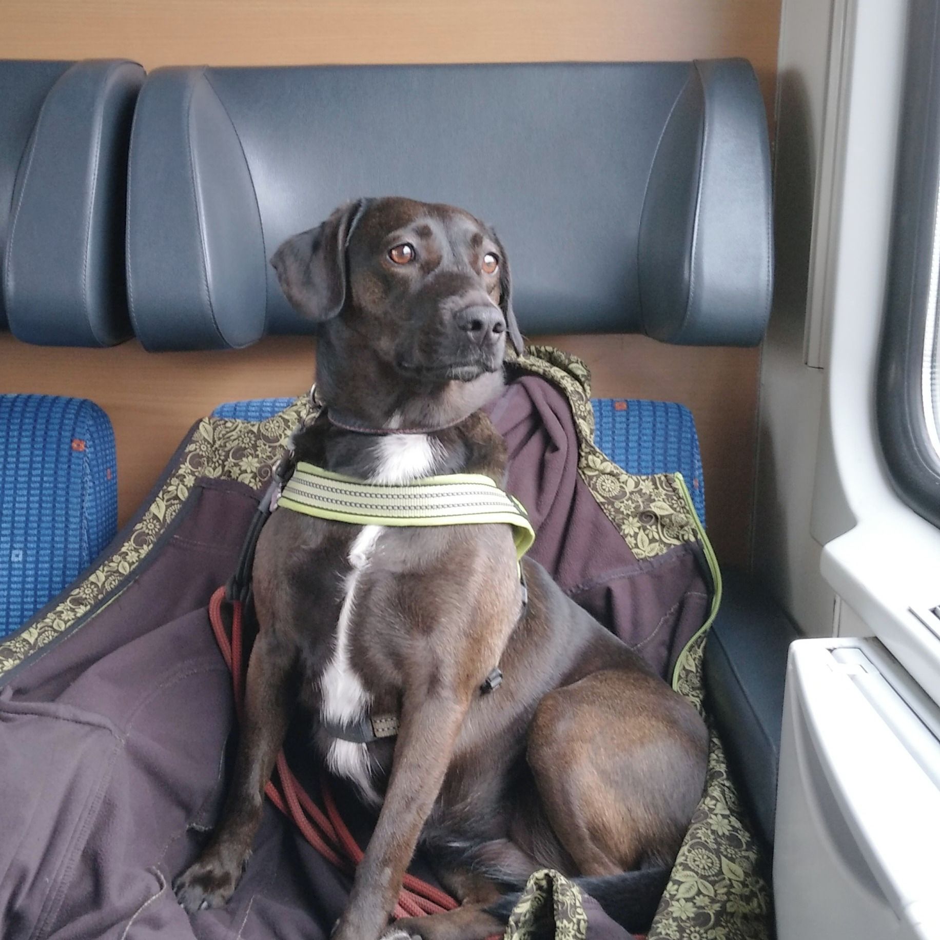 Soutěžní fotografie - Anička,  Ostatní