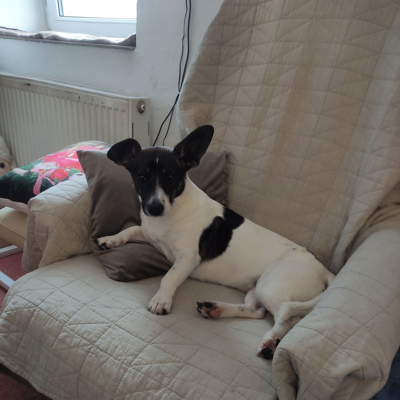 Soutěžní fotografie - Erin,  Ostatní