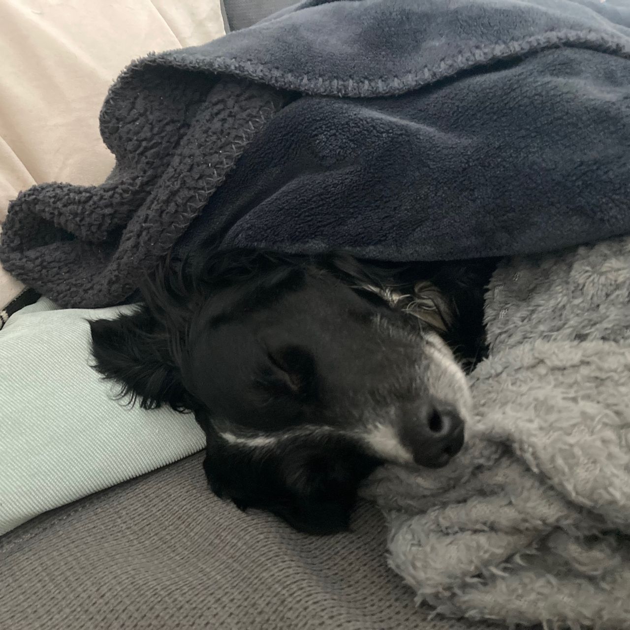 Soutěžní fotografie - Máňa,  Ostatní