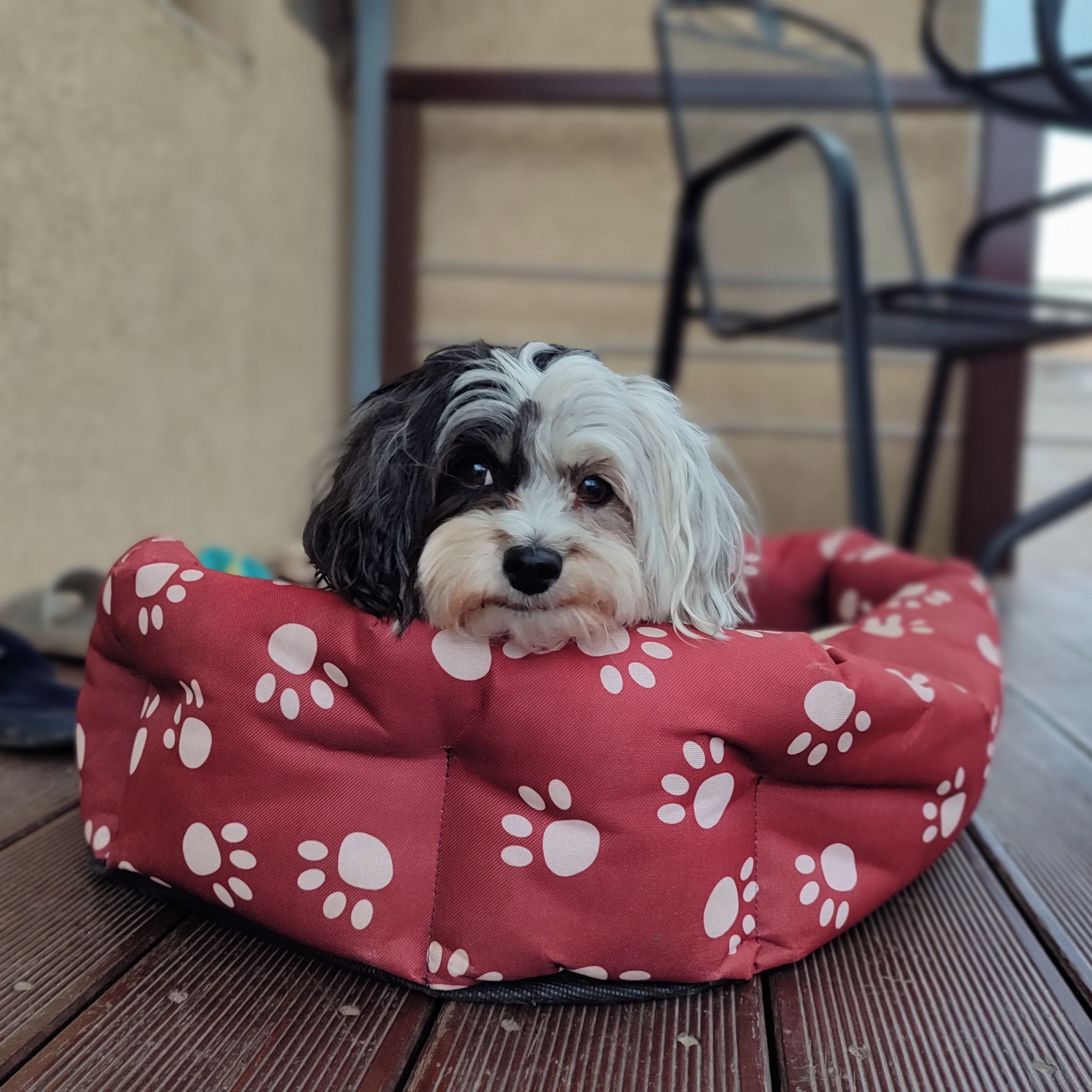 Soutěžní fotografie - Milunka,  Ostatní