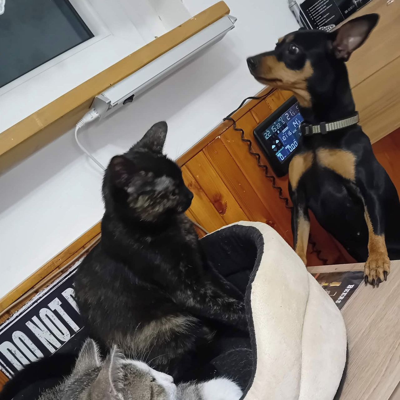 Soutěžní fotografie - Miminko,  Ostatní