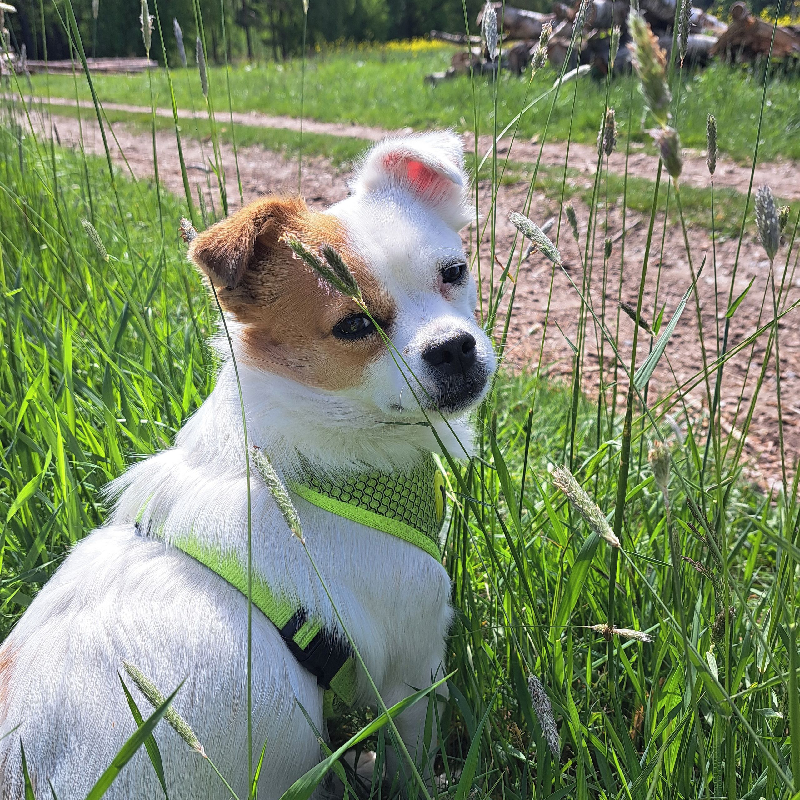 Soutěžní fotografie - Matýsek,  Ostatní