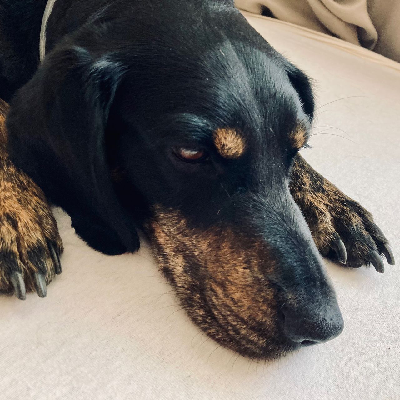 Soutěžní fotografie - Kym,  Ostatní