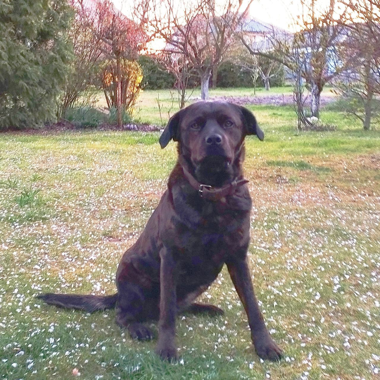 Soutěžní fotografie - Mia,  Ostatní