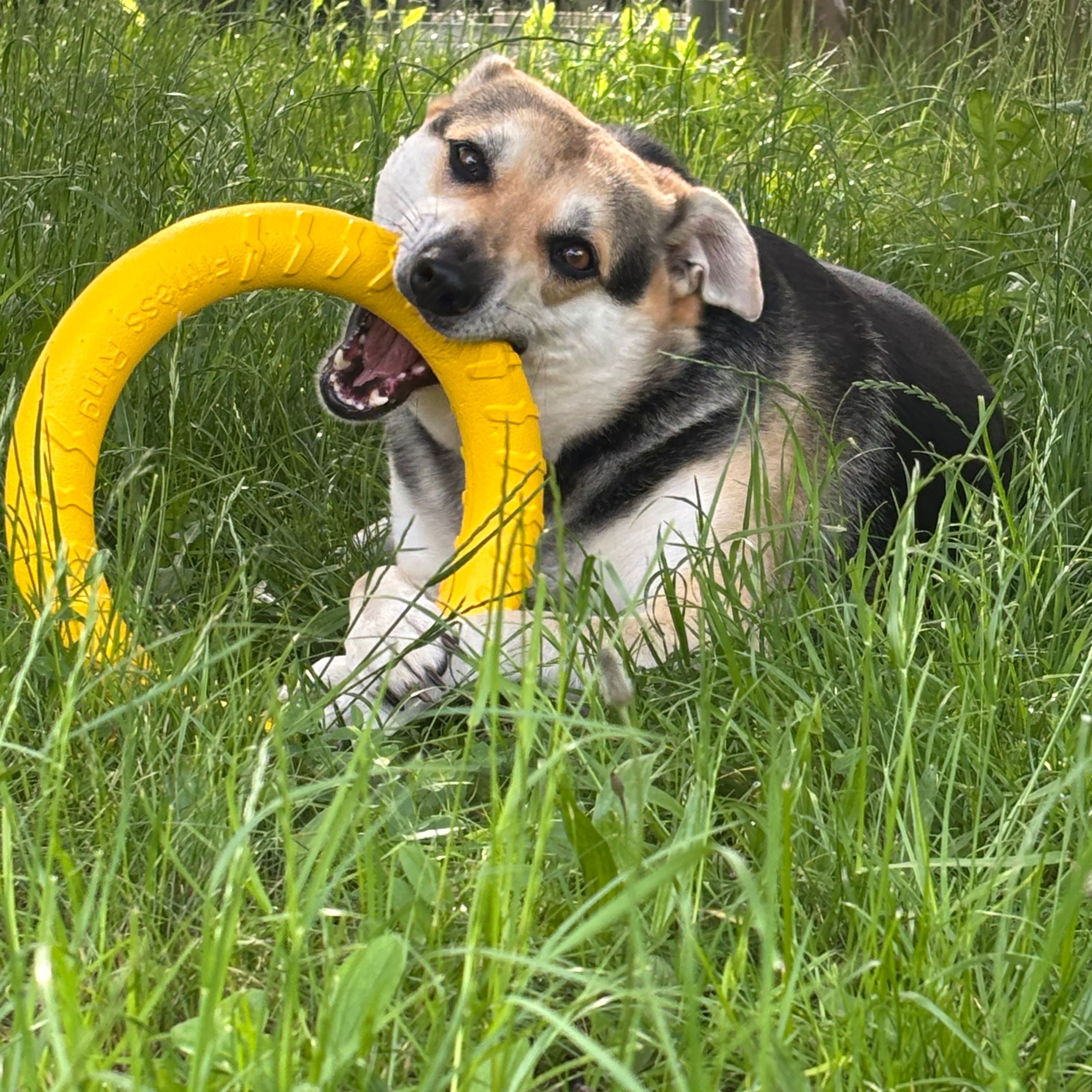 Soutěžní fotografie - Lucinka,  Ostatní