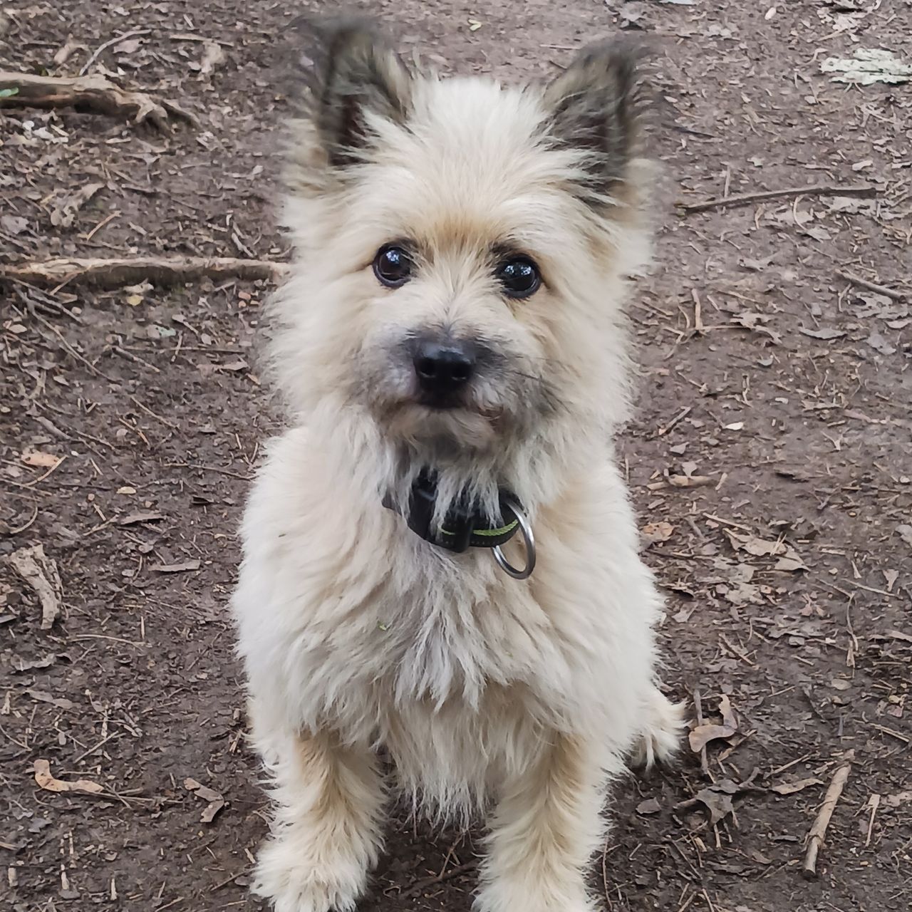 Soutěžní fotografie - Riko,  Ostatní