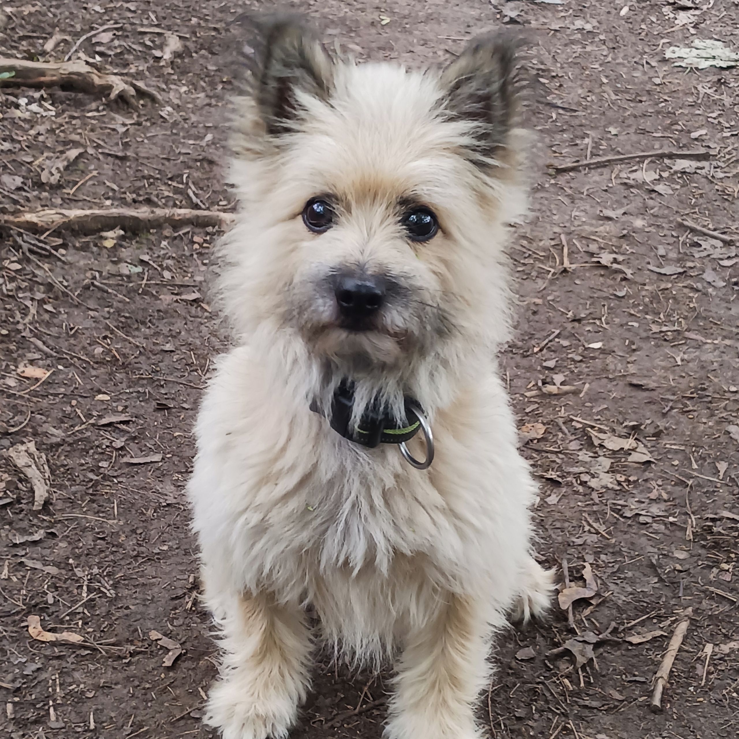 Soutěžní fotografie - Riko,  Ostatní