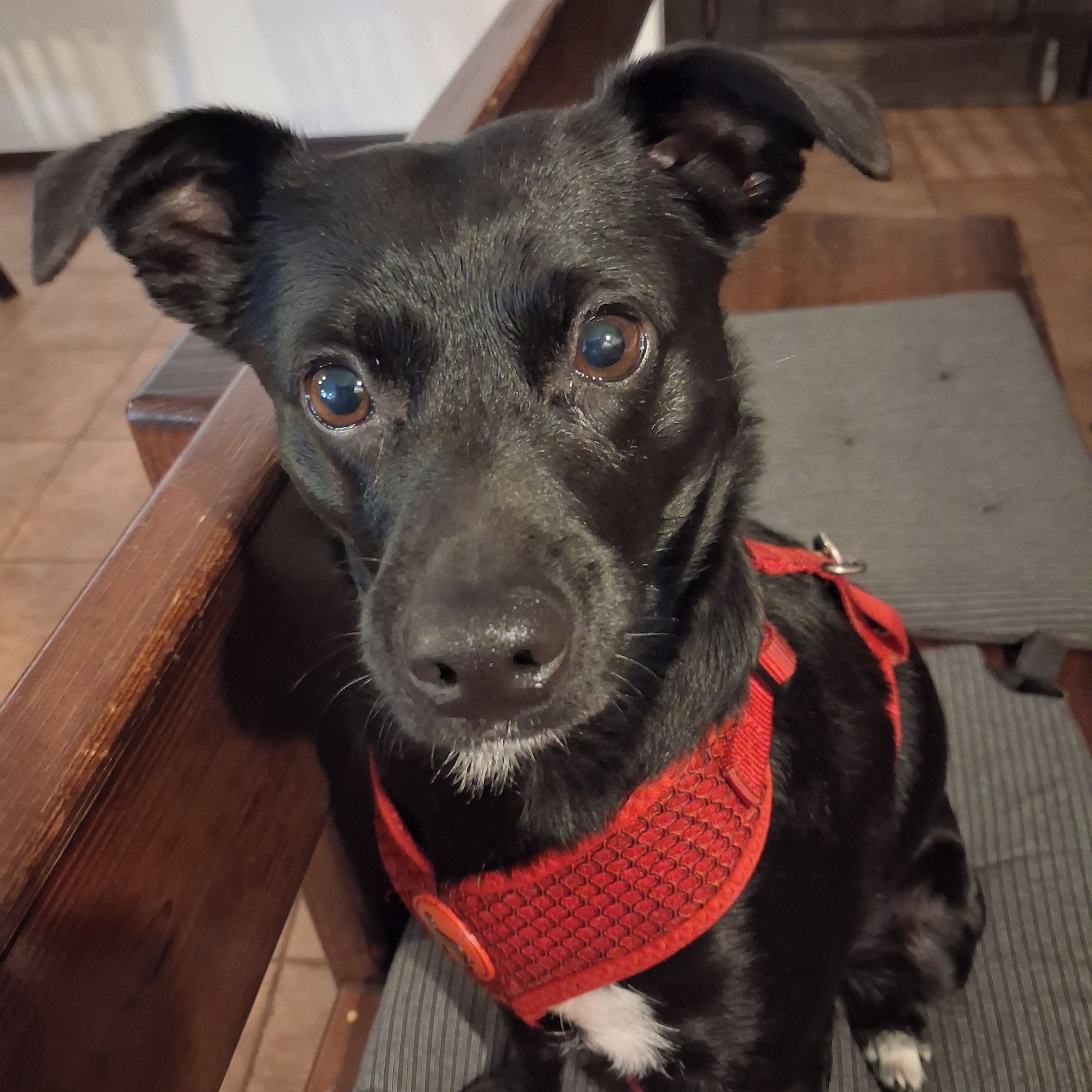 Soutěžní fotografie - Eny,  Ostatní