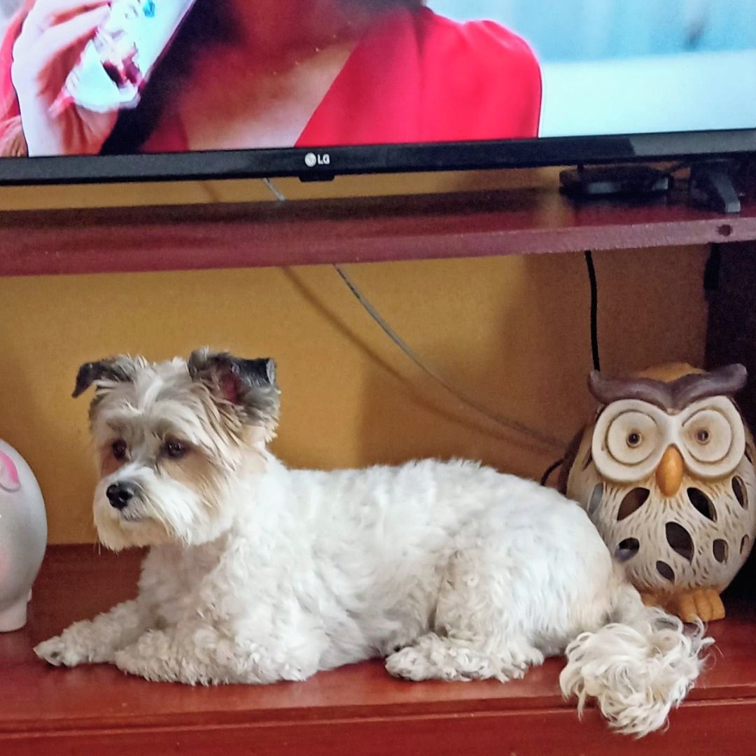 Soutěžní fotografie - Megi,  Ostatní