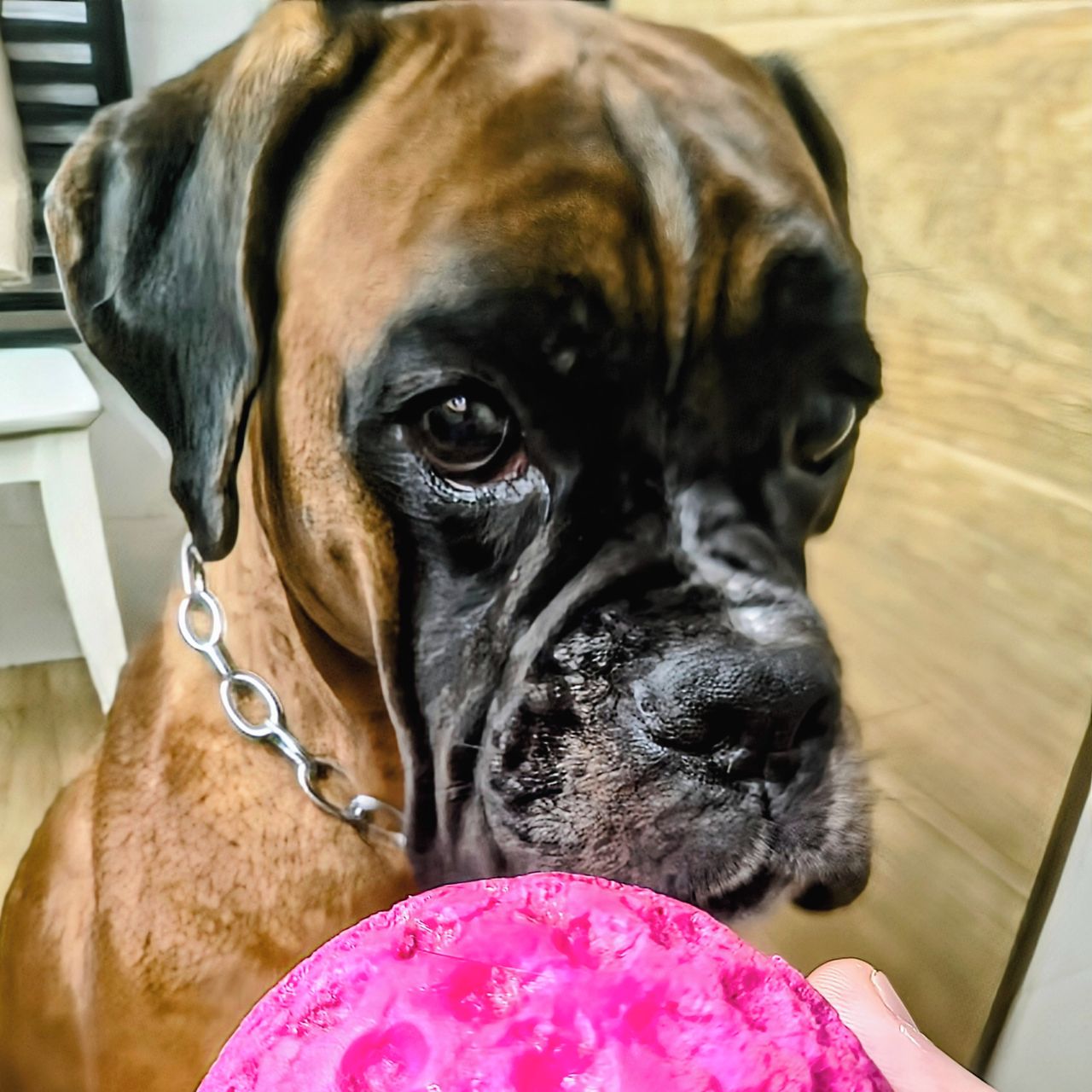 Soutěžní fotografie - Sharlota,  Ostatní