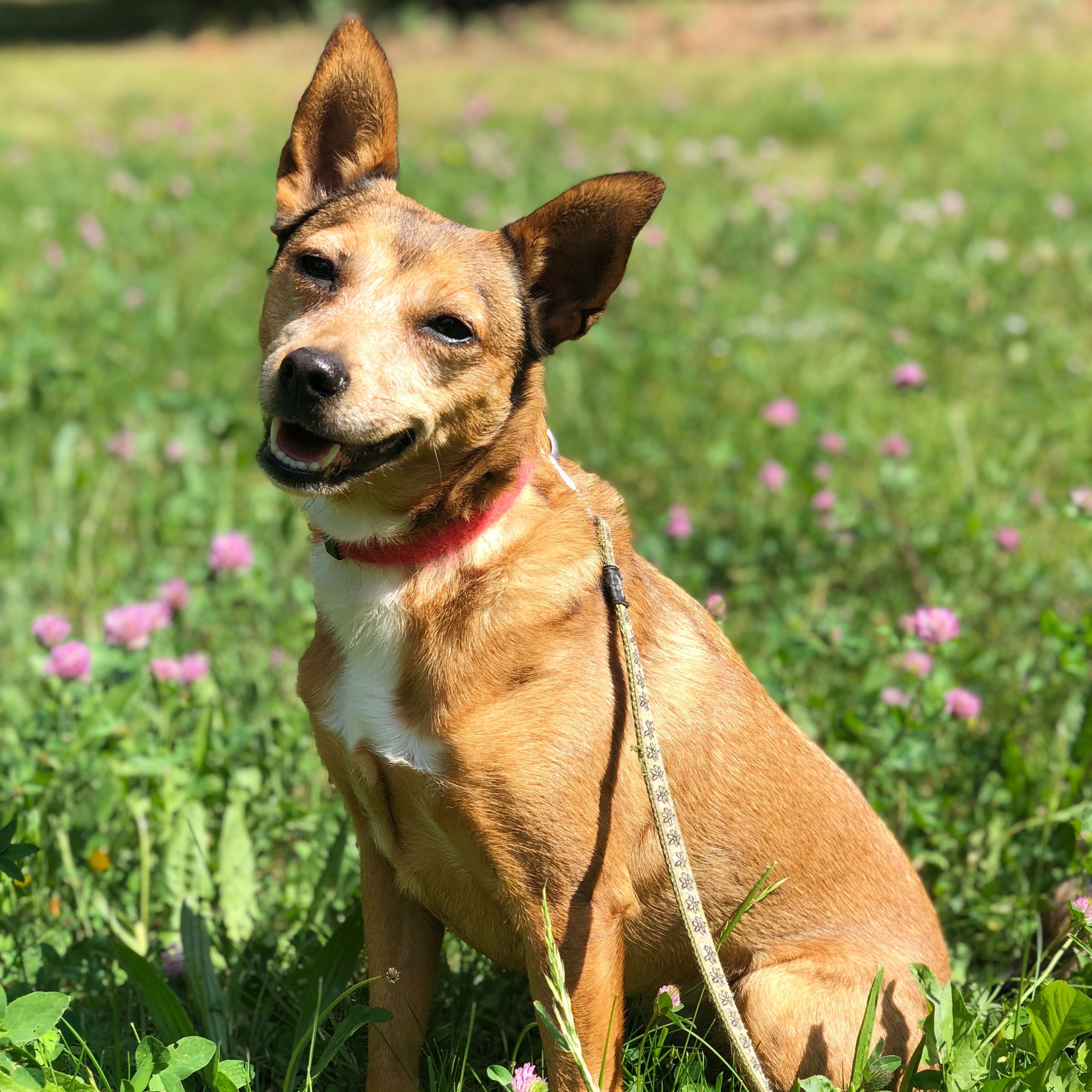 Soutěžní fotografie - Sára,  Ostatní