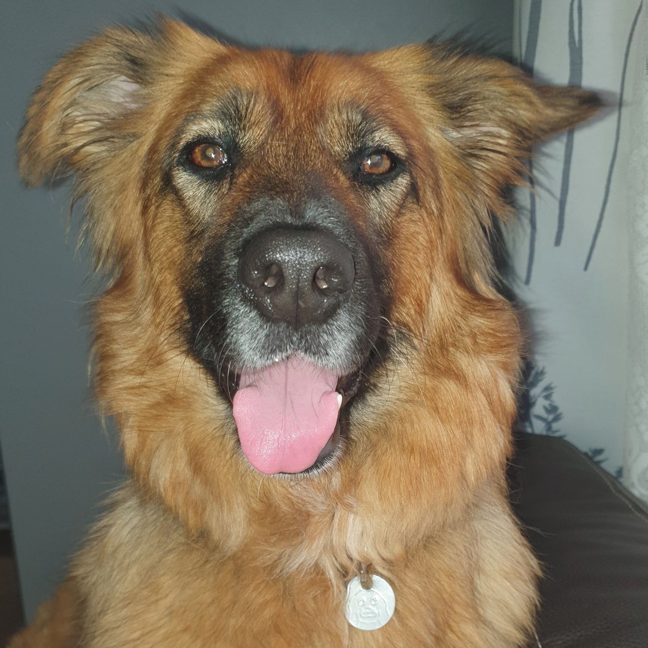 Soutěžní fotografie - Tess,  Ostatní