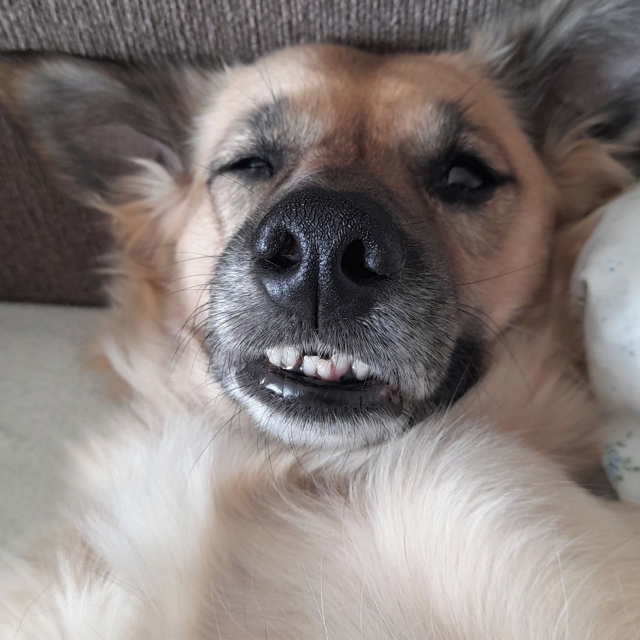 Soutěžní fotografie - Ťapka,  Ostatní