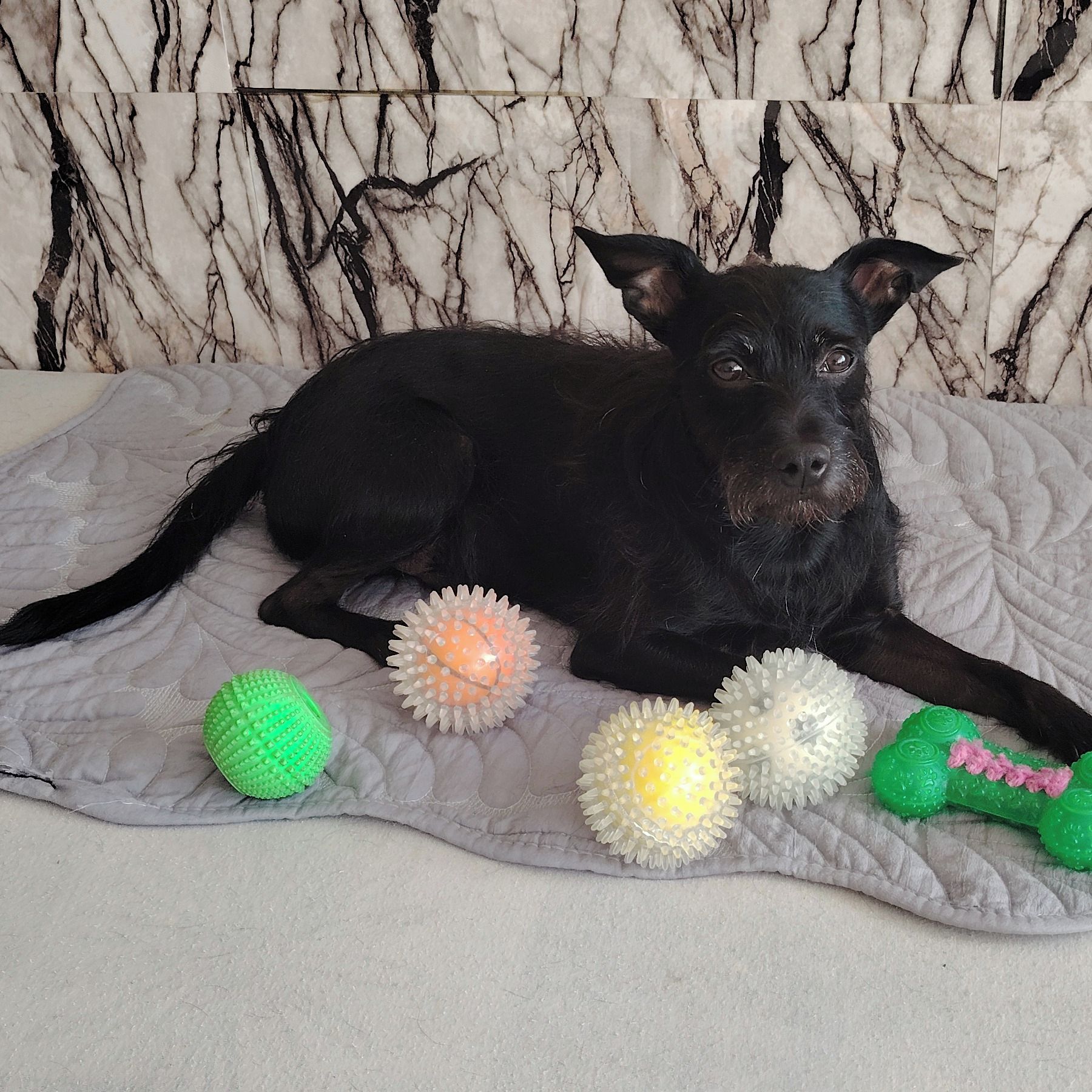 Soutěžní fotografie - Daneček,  Ostatní