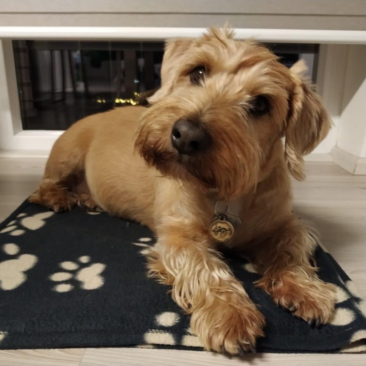 Soutěžní fotografie - Alena,  Ostatní