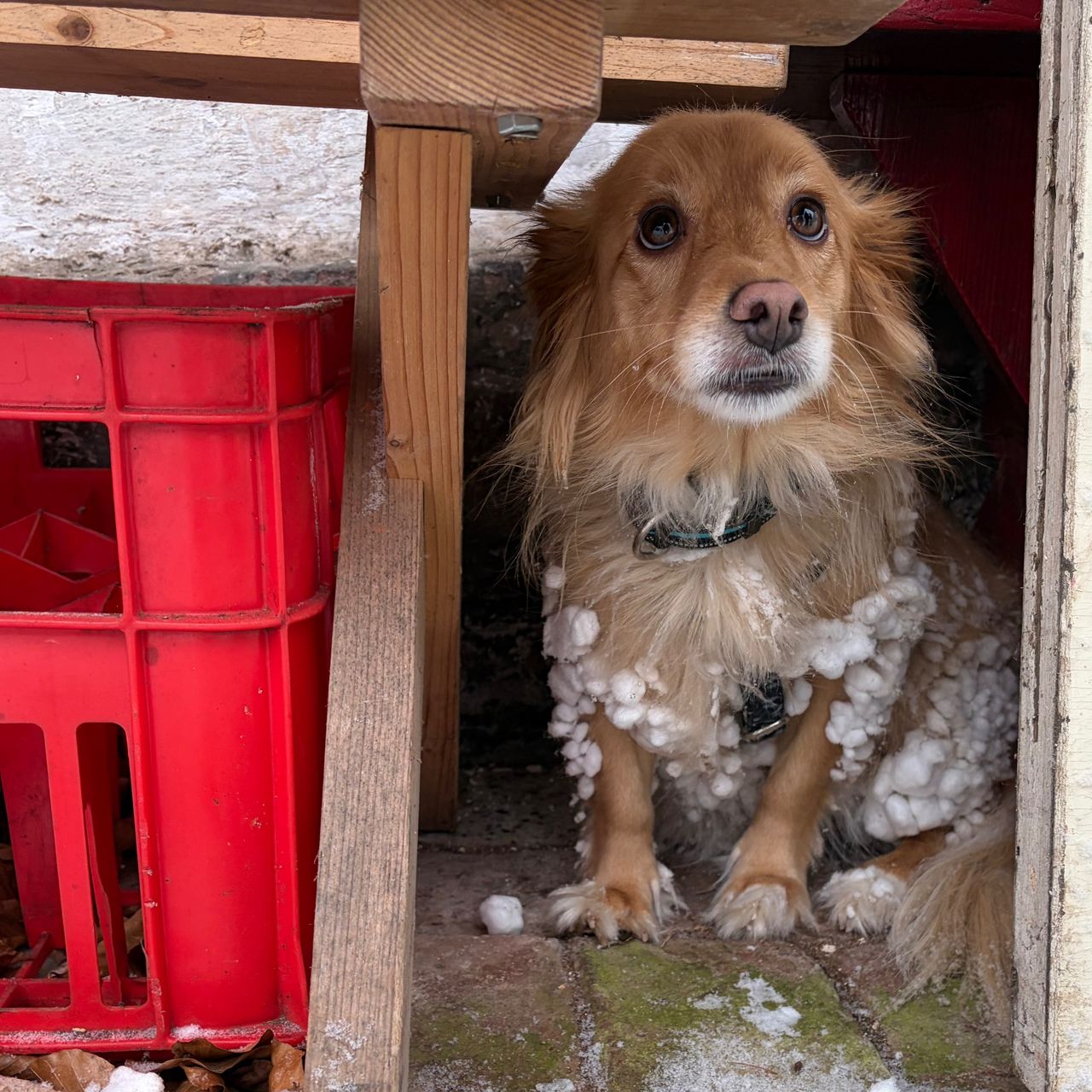 Soutěžní fotografie - Orla,  Ostatní