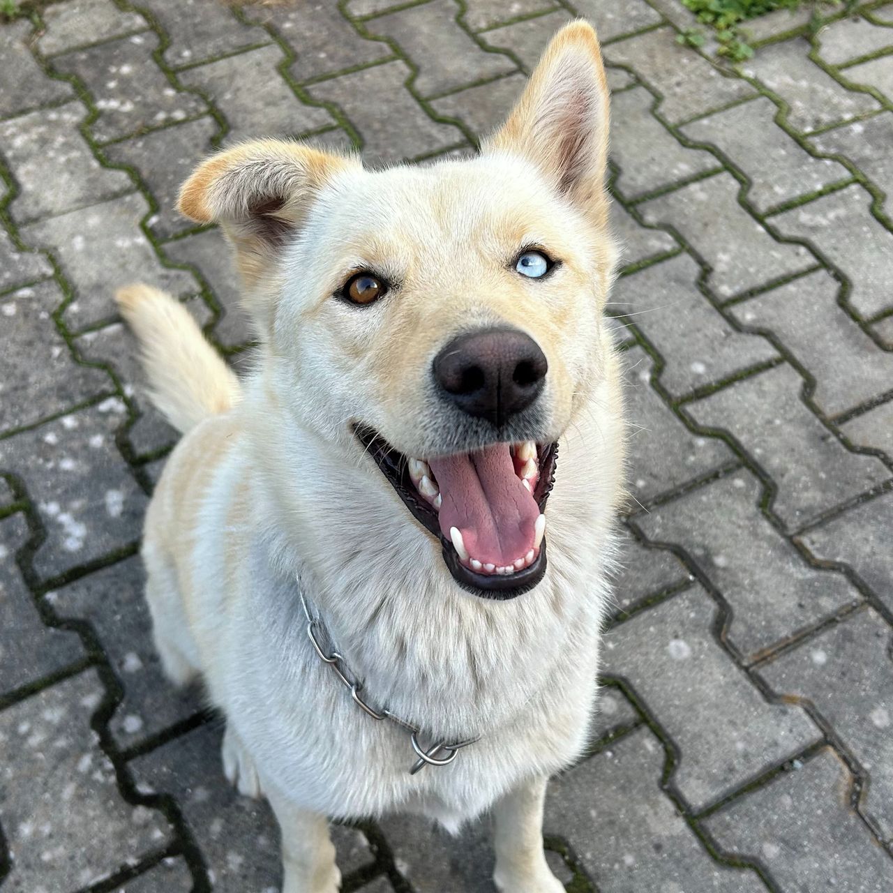 Soutěžní fotografie - Miley,  Ostatní