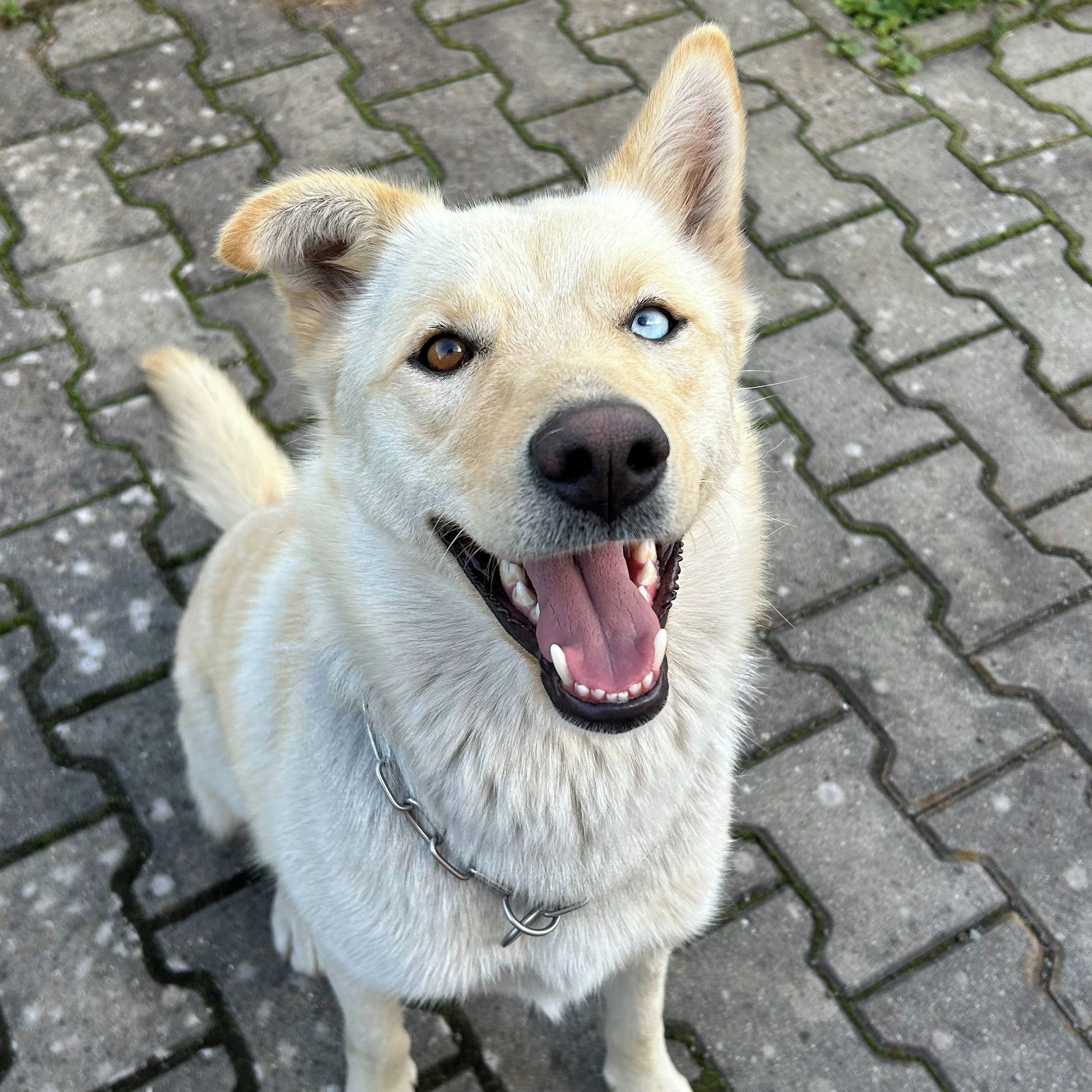 Soutěžní fotografie - Miley,  Ostatní