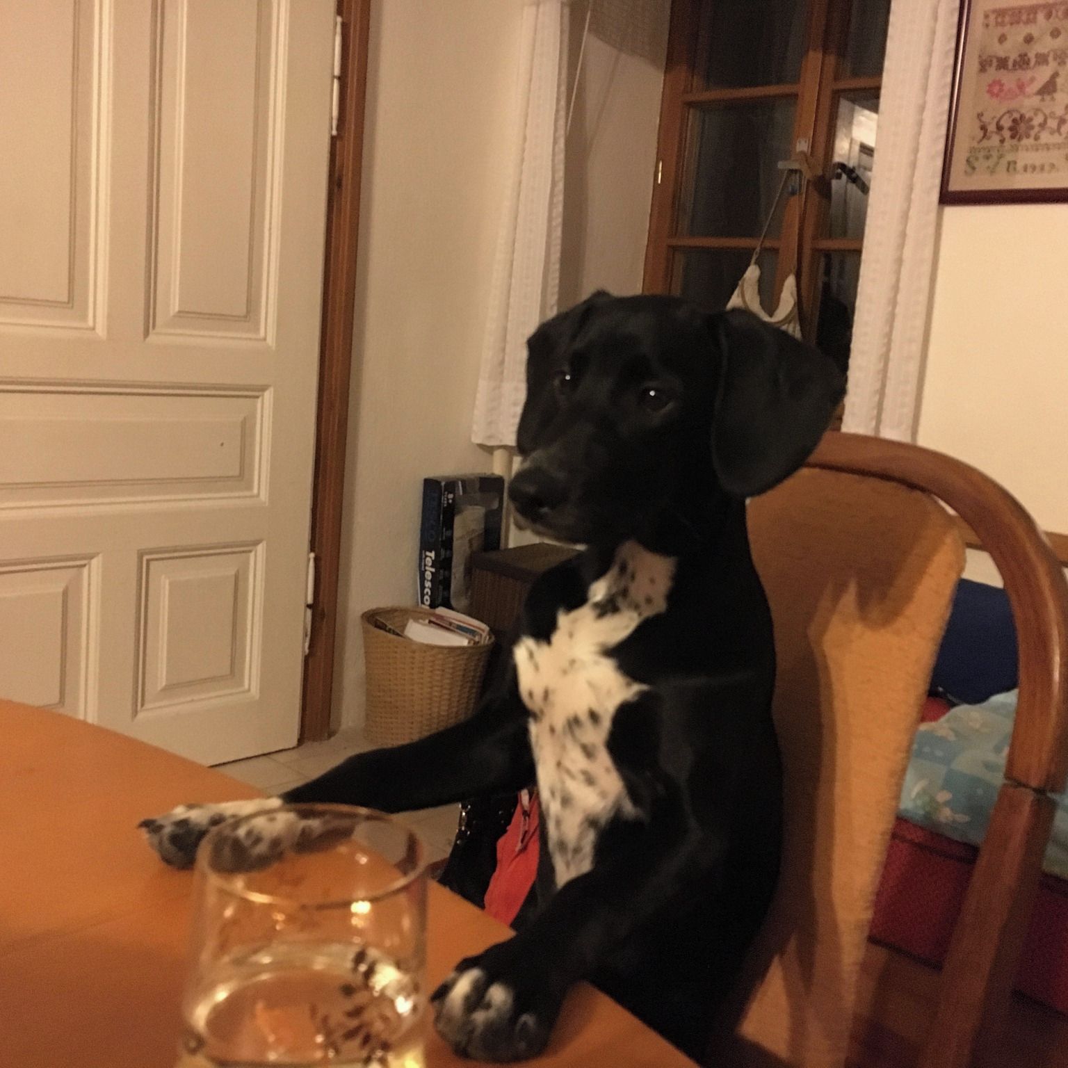 Soutěžní fotografie - BONDY,  Ostatní