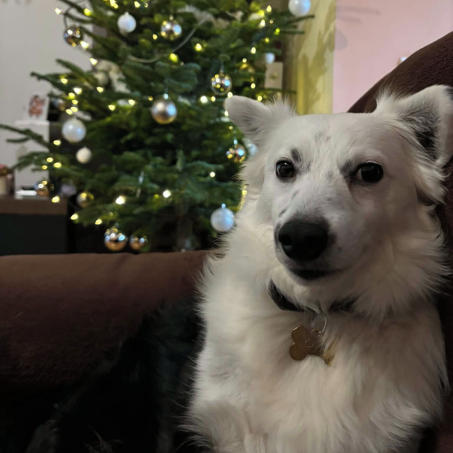 Soutěžní fotografie - Čaky,  Ostatní