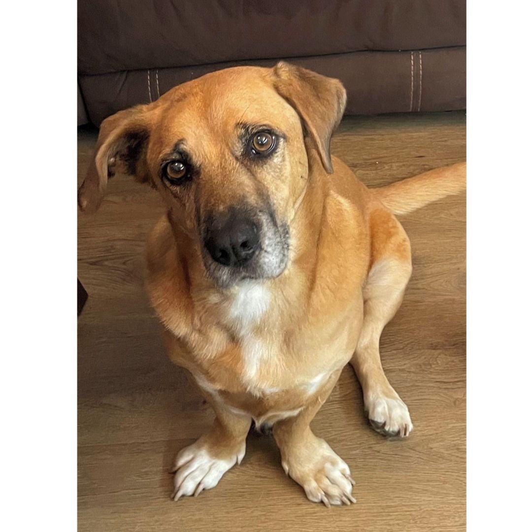 Soutěžní fotografie - Dobby,  Ostatní