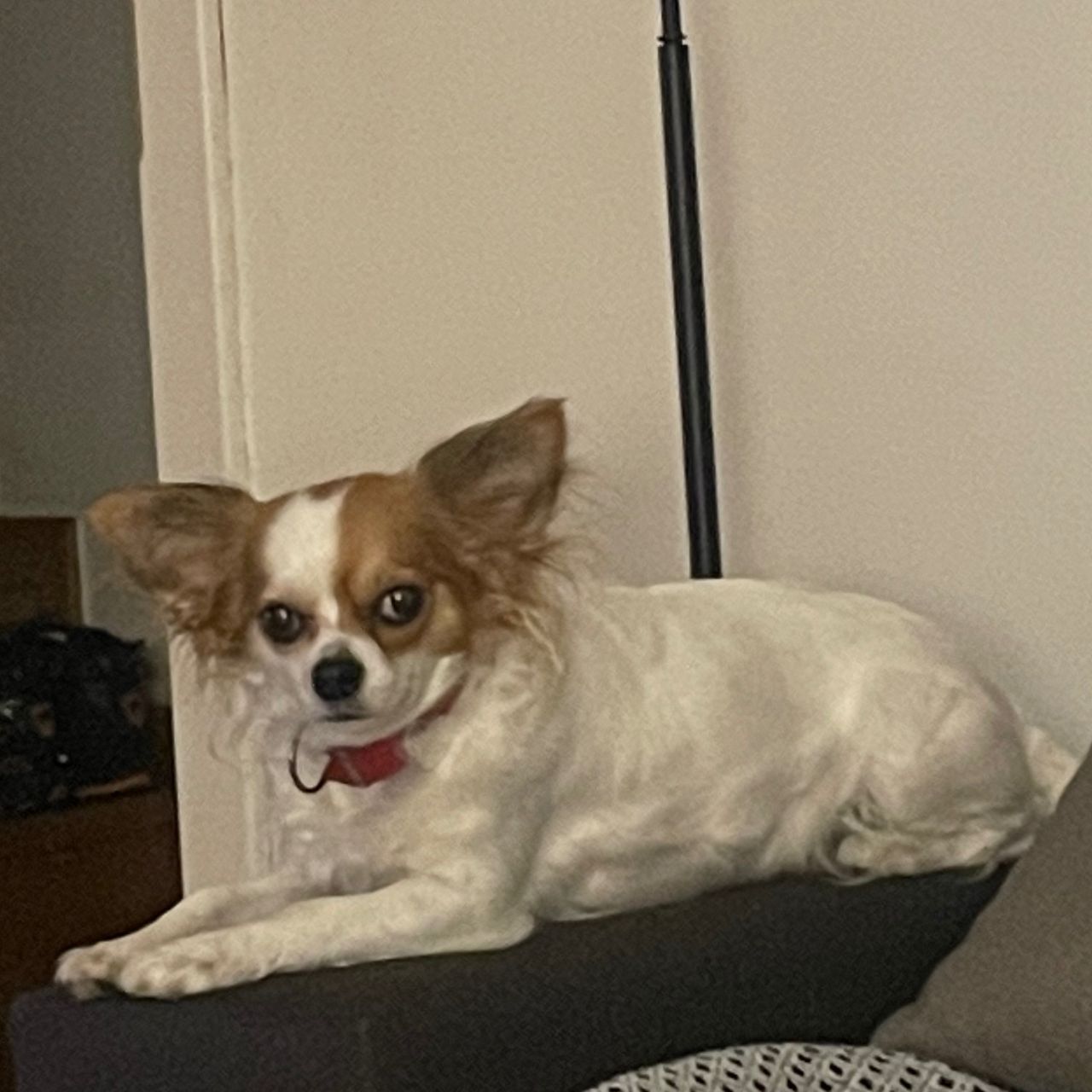 Soutěžní fotografie - Zuzka,  Ostatní