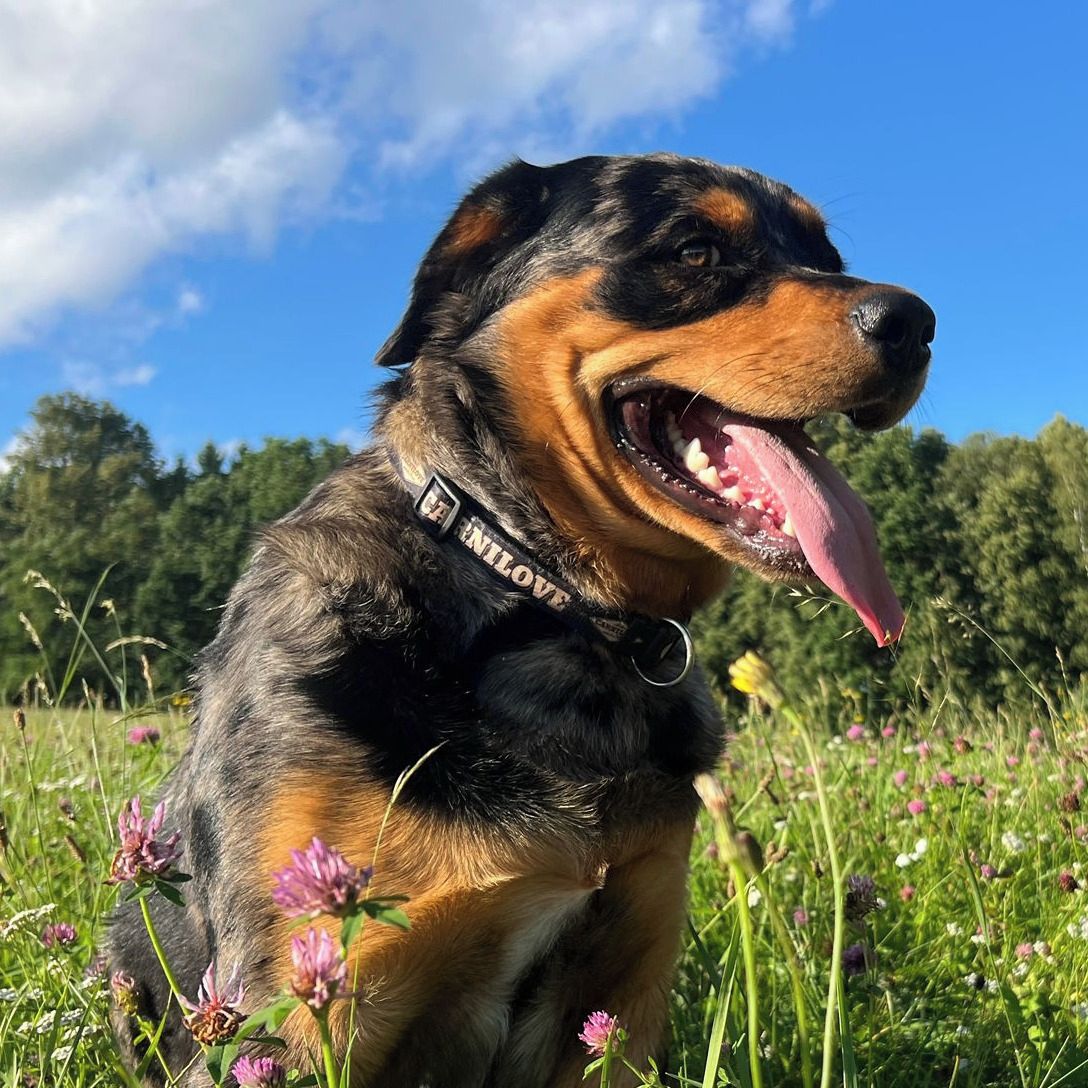 Soutěžní fotografie - Flick,  Ostatní