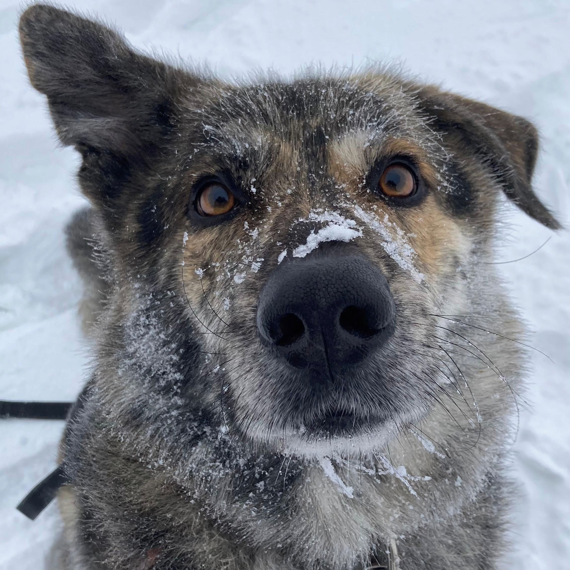 Soutěžní fotografie - Maty,  Ostatní