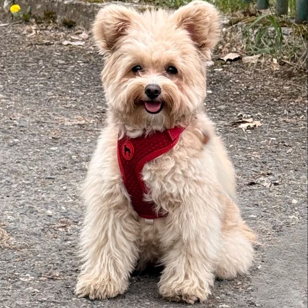 Soutěžní fotografie - Terezka Milesh,  Ostatní