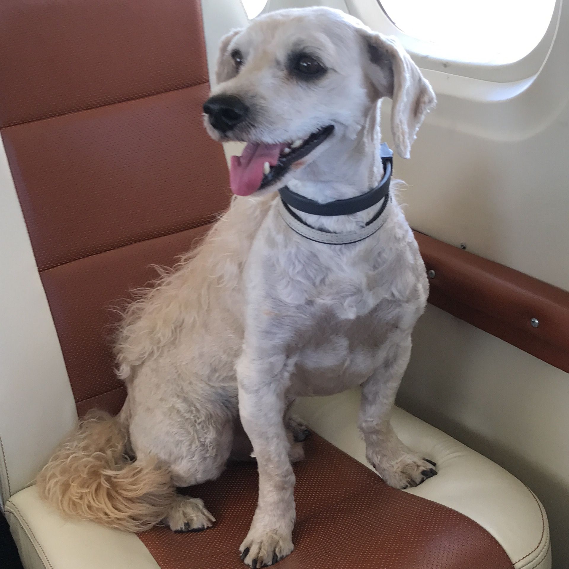 Soutěžní fotografie - Artemis,  Ostatní