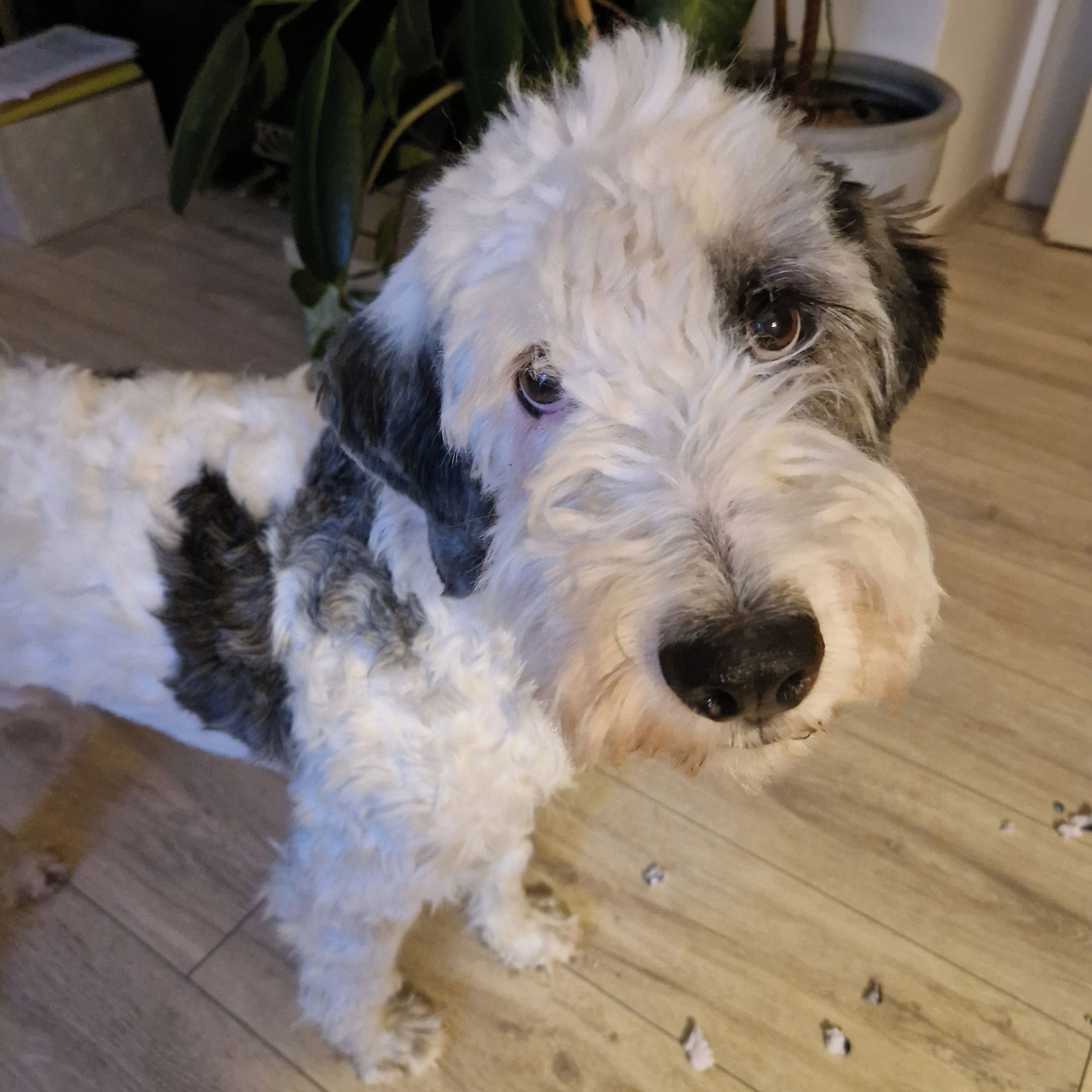 Soutěžní fotografie - Banán,  Ostatní