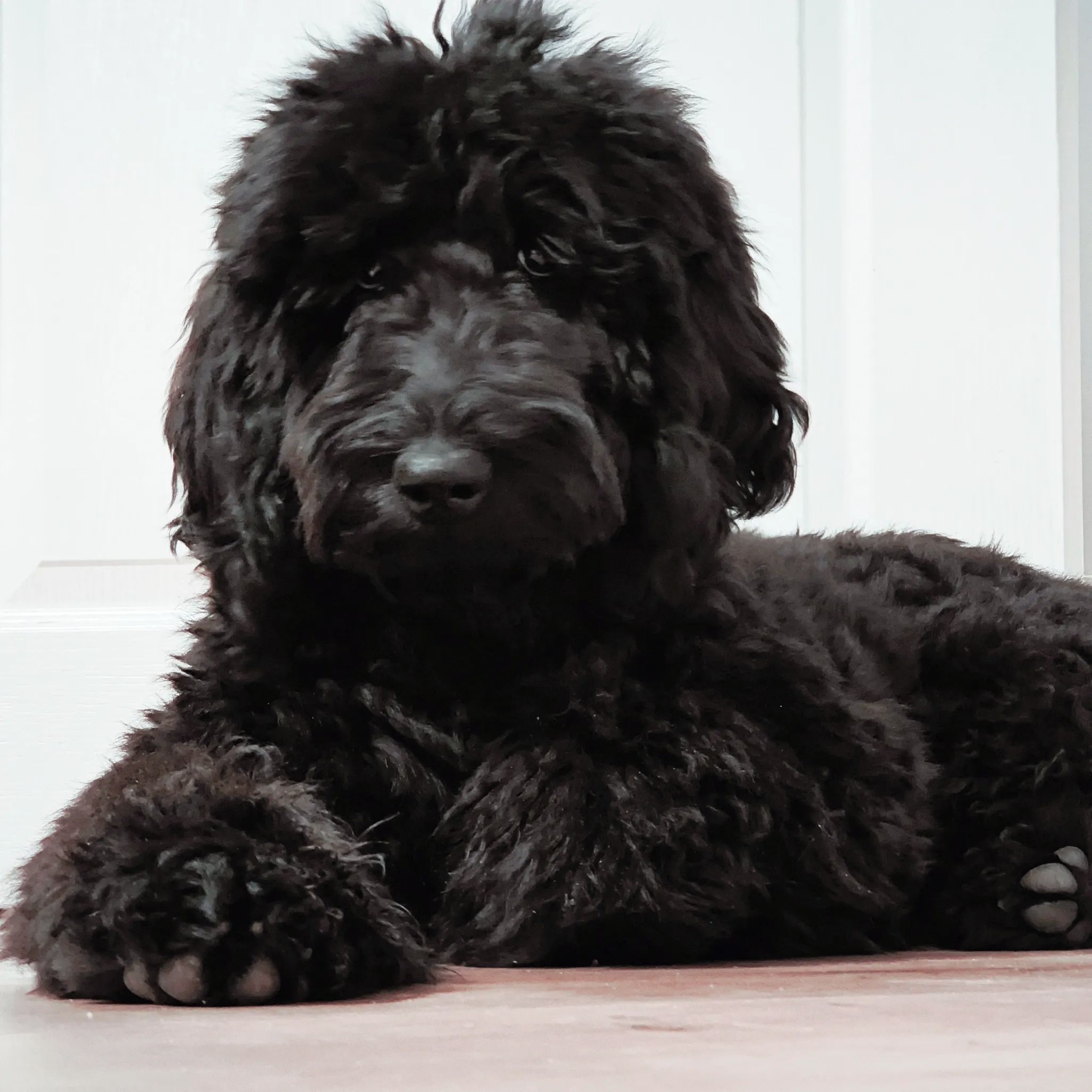 Soutěžní fotografie - Demi Blue Berry,  Ostatní