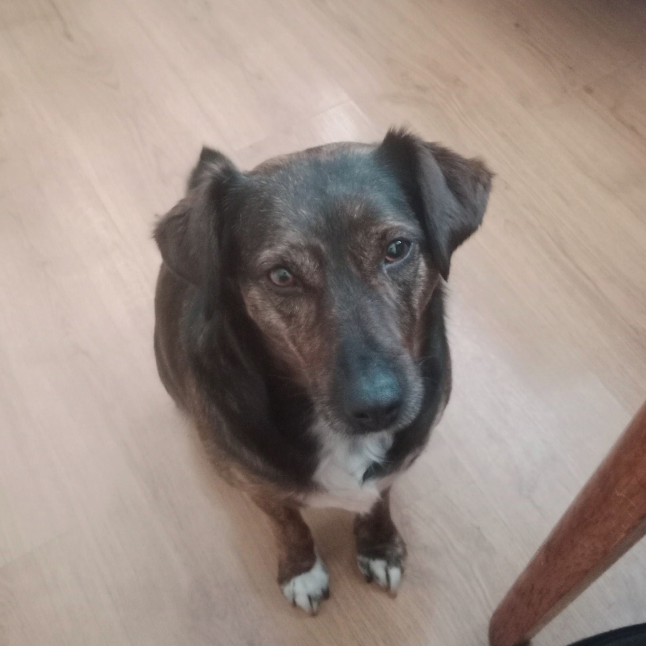 Soutěžní fotografie - Žolinka,  Ostatní