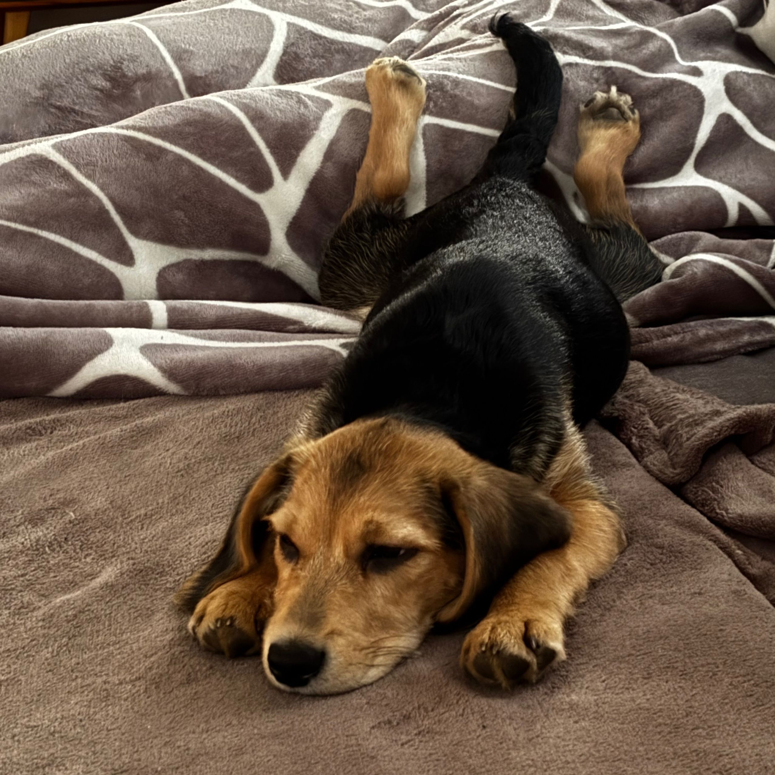 Soutěžní fotografie - Mia,  Ostatní