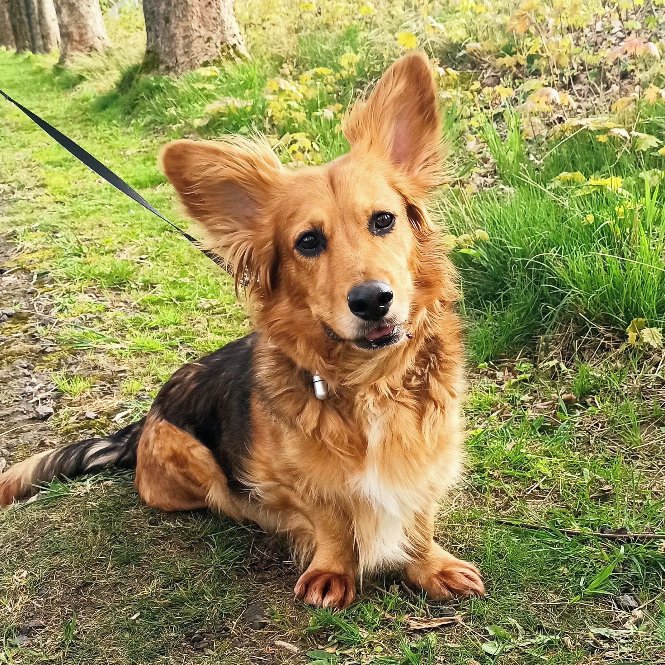 Soutěžní fotografie - Amálka,  Ostatní