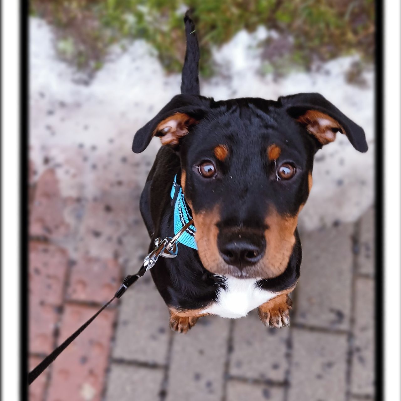 Soutěžní fotografie - Shadow,  Ostatní