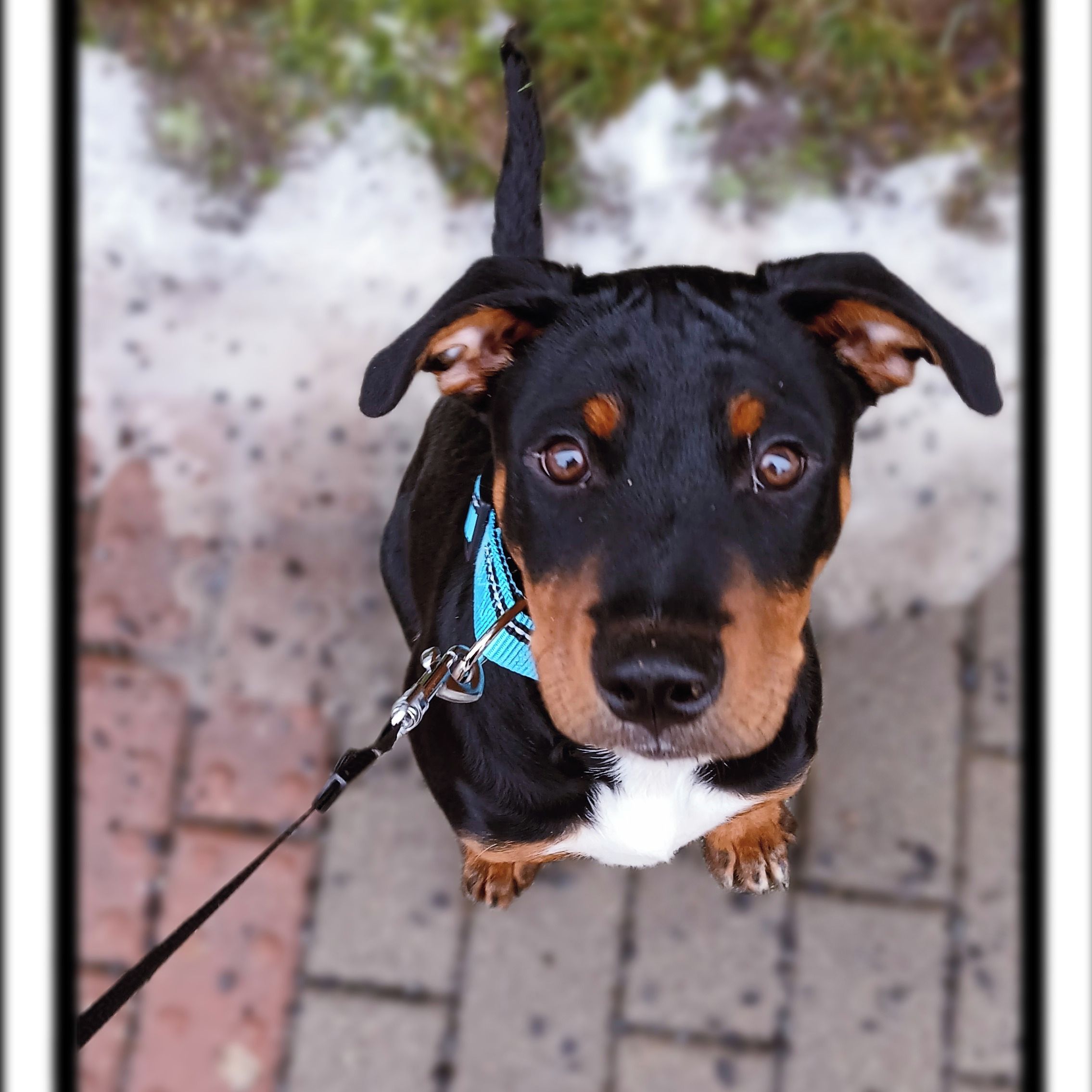 Soutěžní fotografie - Shadow,  Ostatní