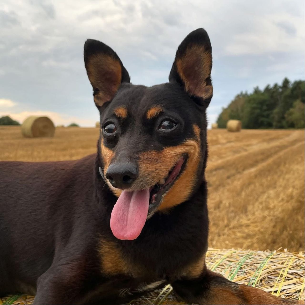 Soutěžní fotografie - Denísek,  Ostatní