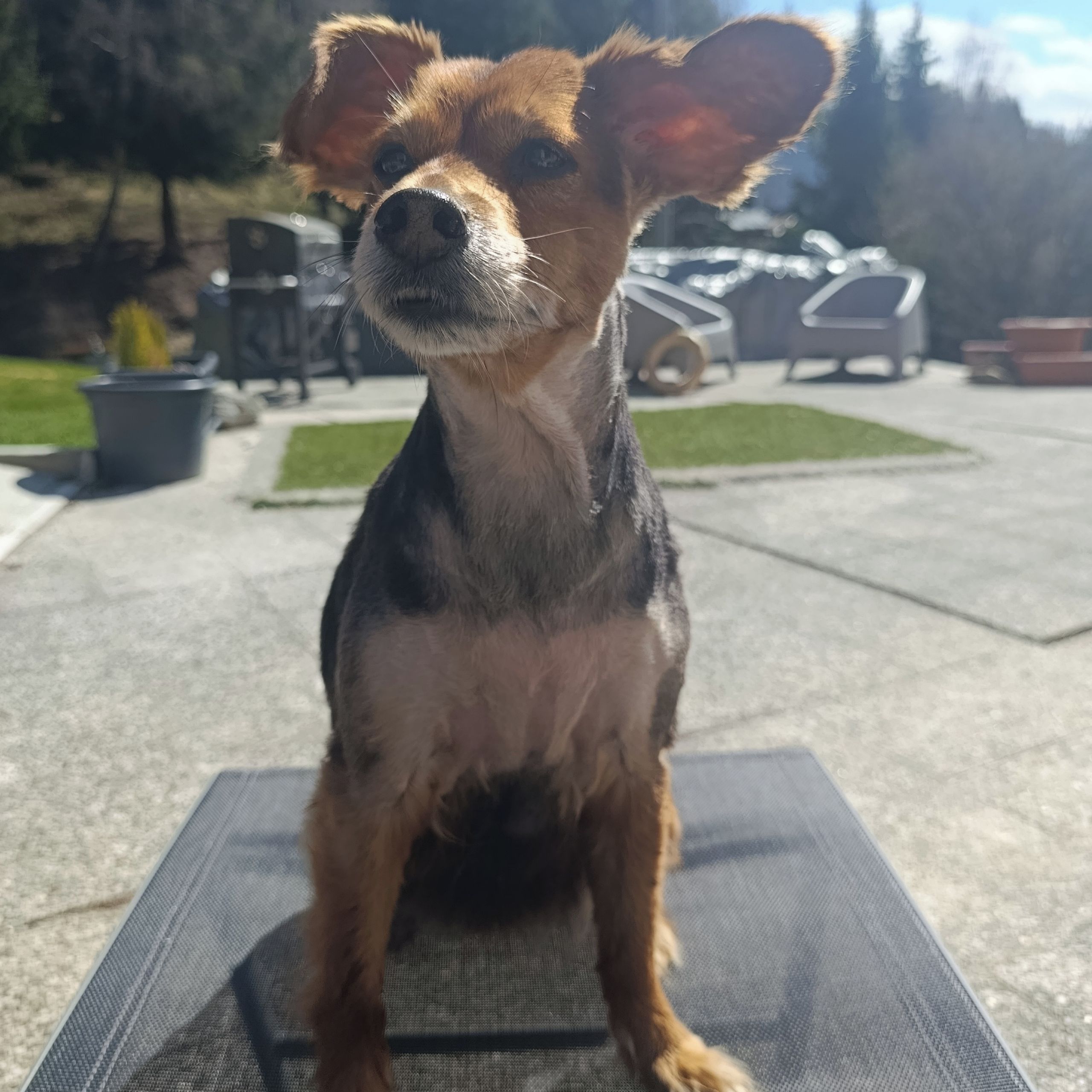 Soutěžní fotografie - Ketty,  Ostatní