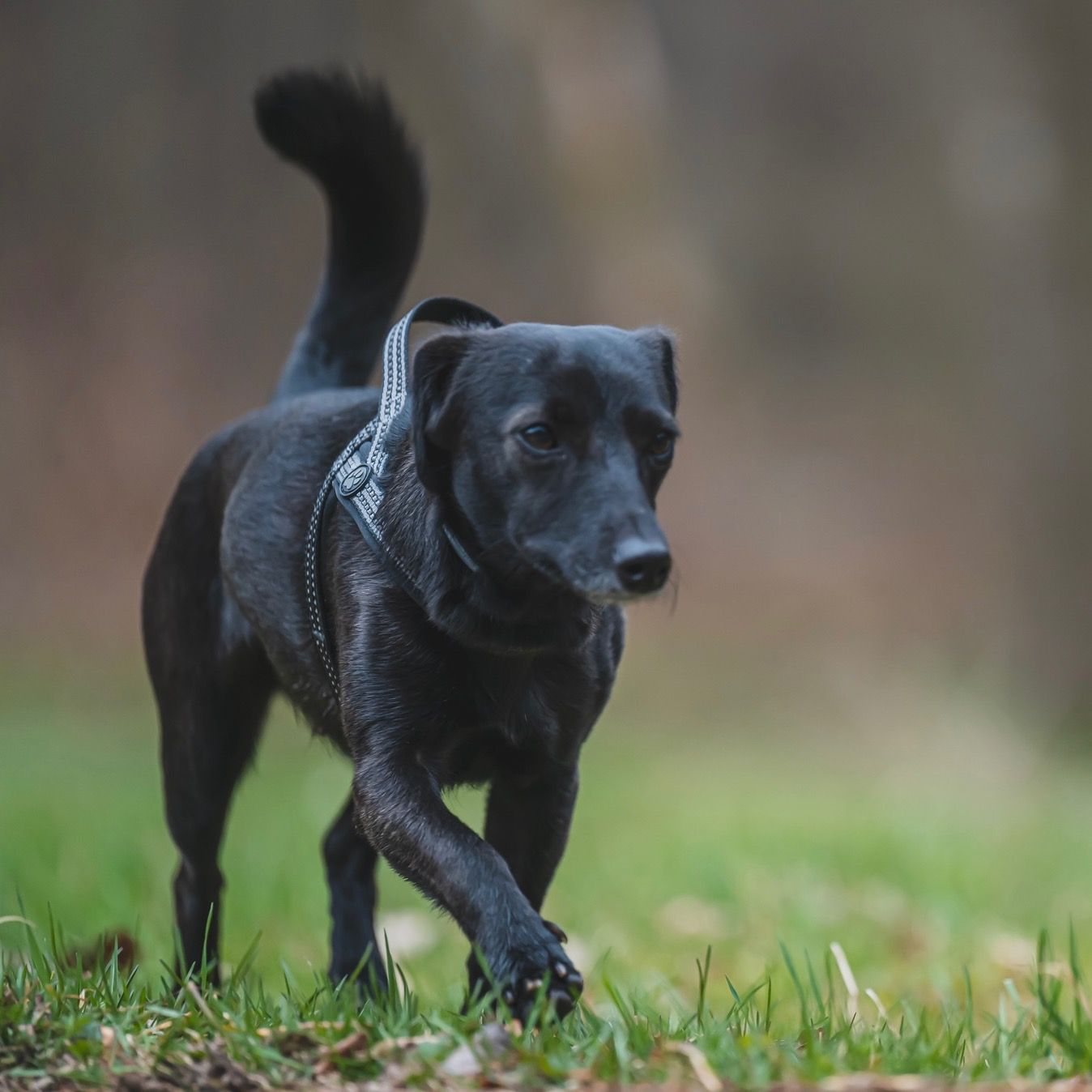 Soutěžní fotografie - Happy,  Ostatní
