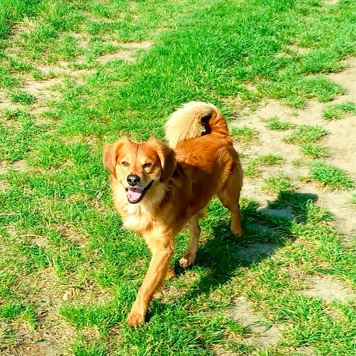 Soutěžní fotografie - Darius,  Ostatní