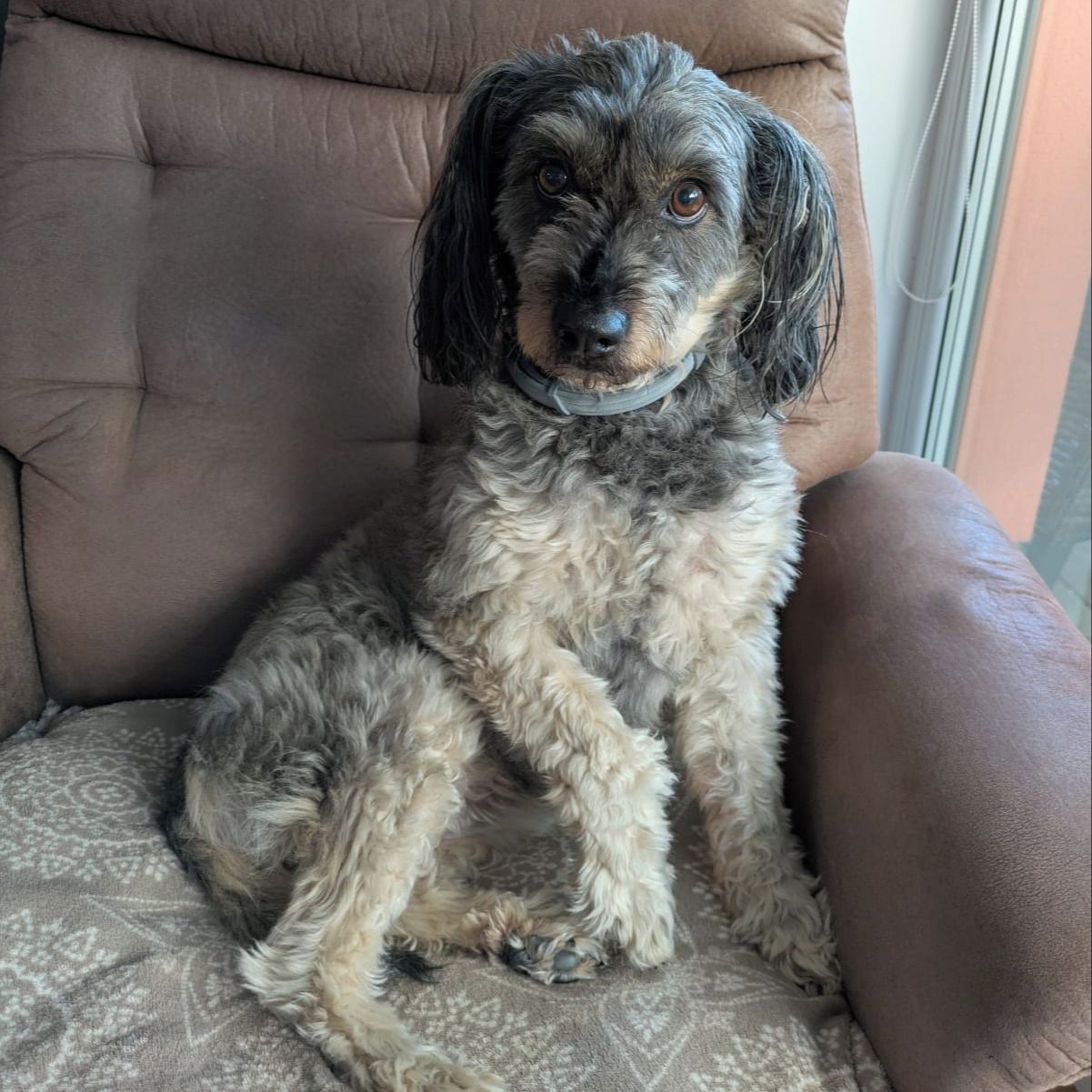 Soutěžní fotografie - Ashly,  Ostatní