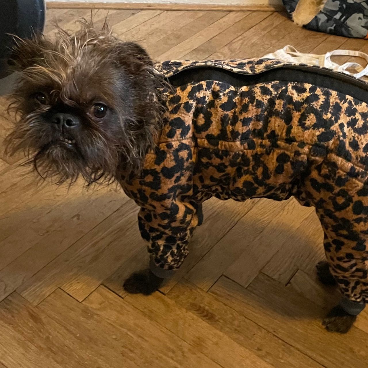 Soutěžní fotografie - Jo,  Ostatní