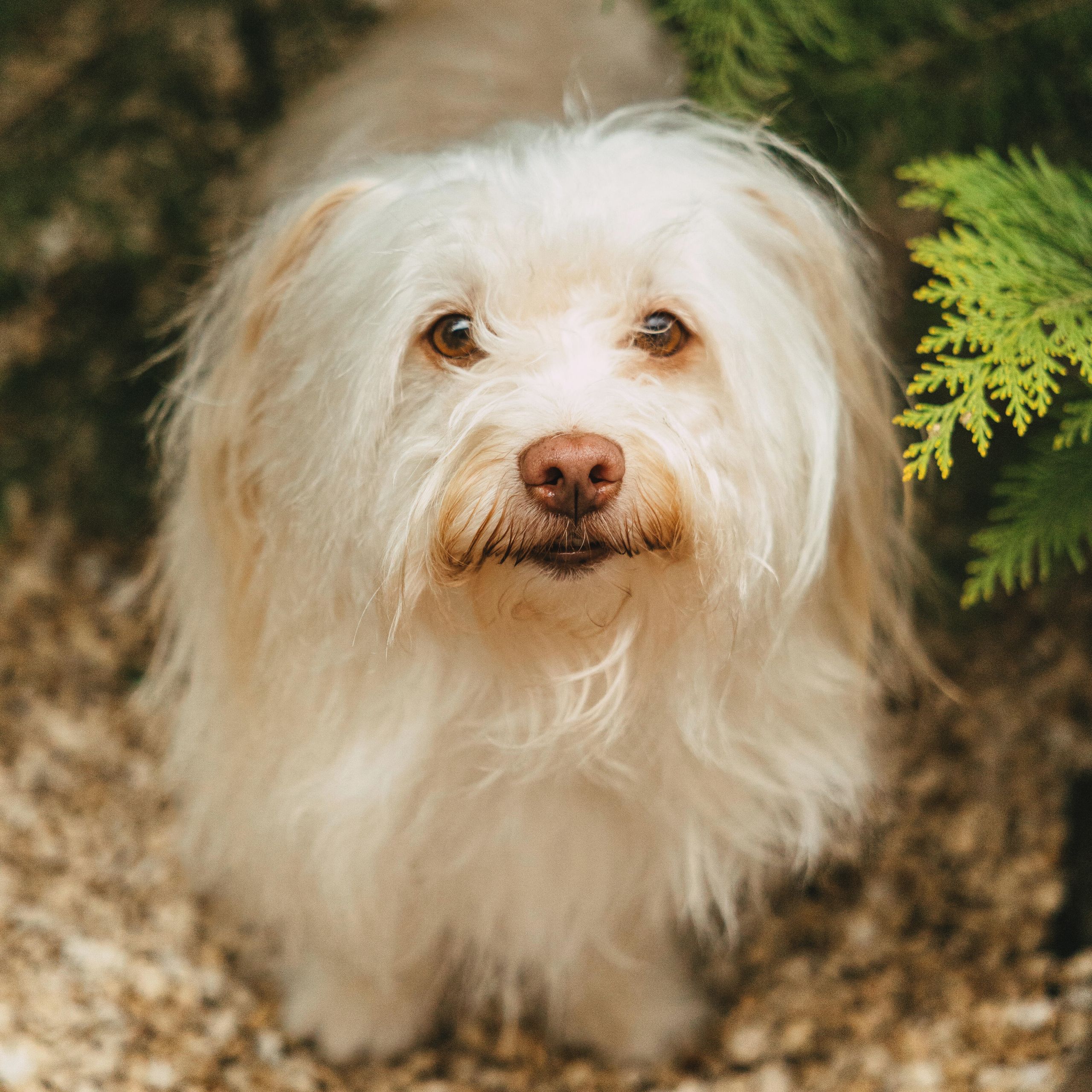 Soutěžní fotografie - Bloom,  Ostatní
