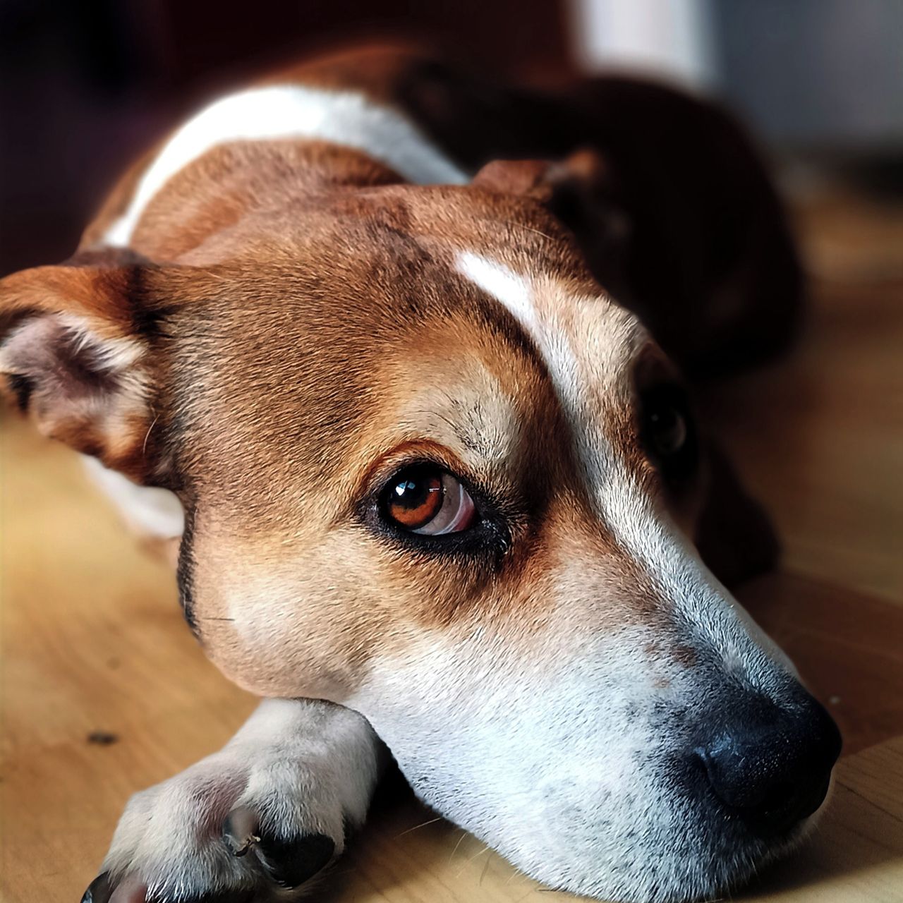 Soutěžní fotografie - Ahley,  Ostatní