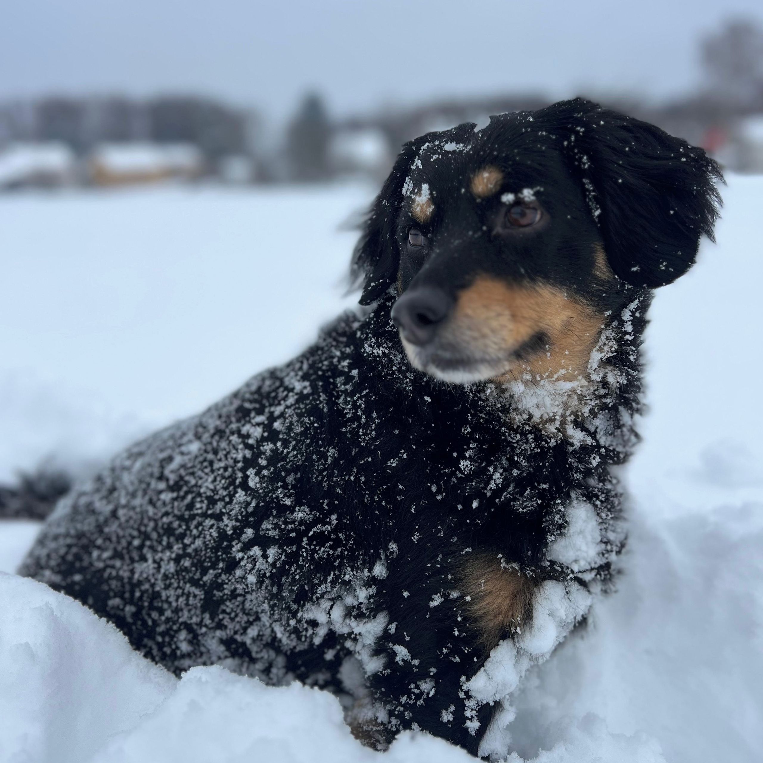 Soutěžní fotografie - Don,  Ostatní